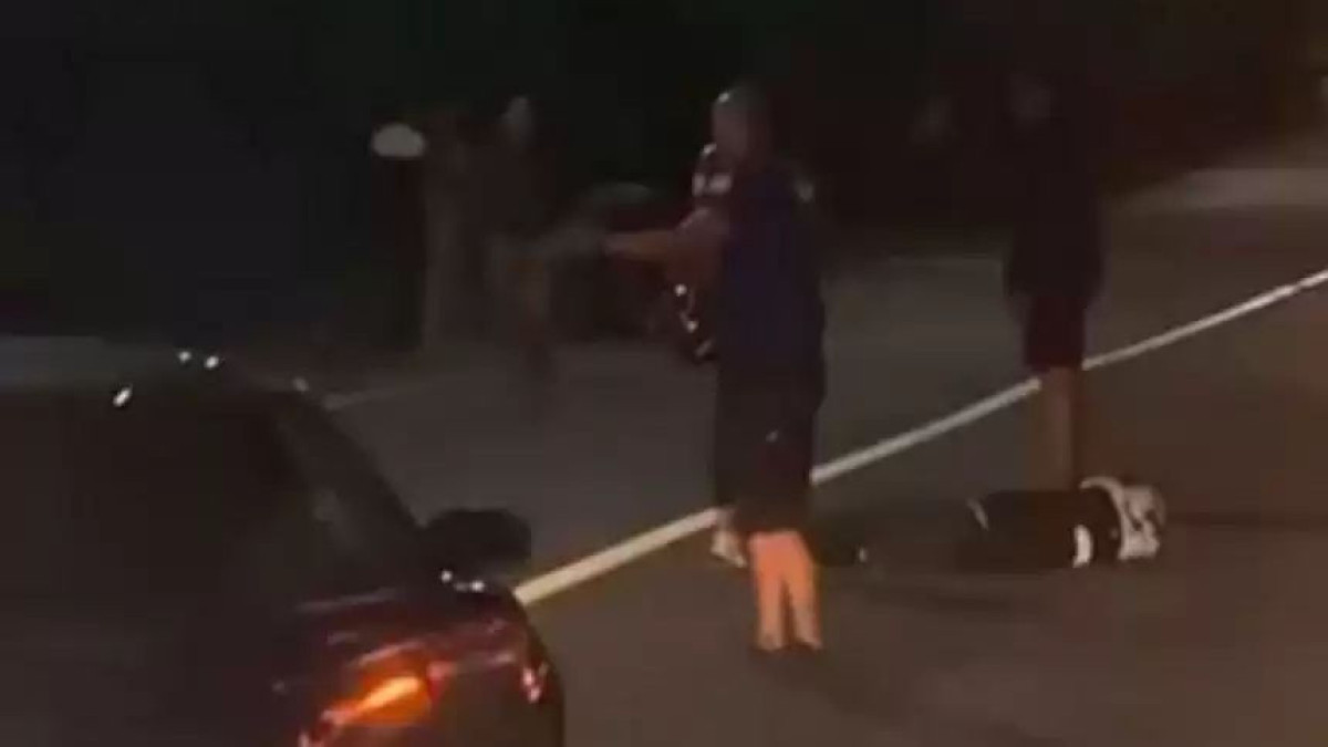  Видеодан кадр 