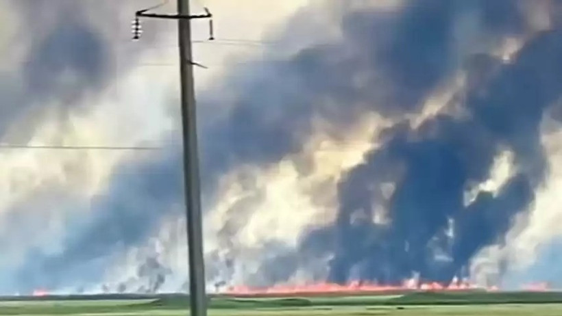  Видеодан кадр 