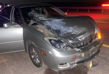 Мужчина выбежал ночью на трассу Астана - Усть-Каменогорск