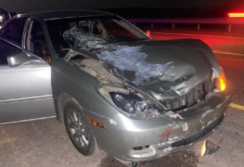 Алматы-Өскемен тас жолында жаяу жүргінші қаза тапты