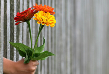 Елордада Gul Astana гүл фестивалі өтеді