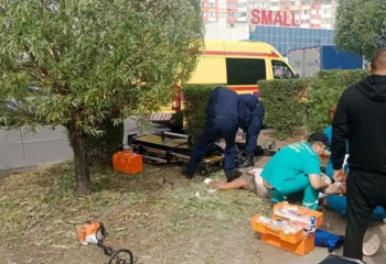 Павлодарда ағаш кесіп жатқан жұмысшыларды ток соғып, денелерін 40 пайыз күйік шалды