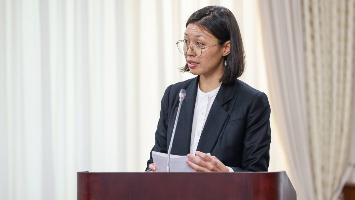  primeminister.kz 