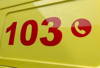 Четырёхлетнего малыша в Мангистау лиса покусала за лицо