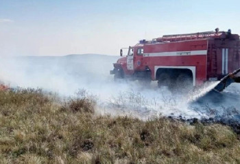 Пожар в лесничестве в Павлодарской области ликвидирован