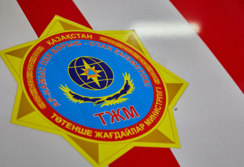 Пожар ликвидировали в Кызылжарском лесничестве