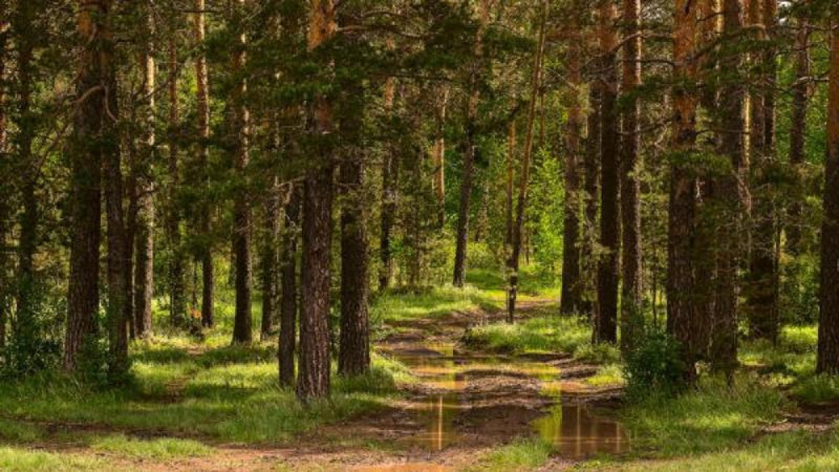  Ашық дереккөзден 