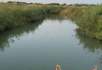 Производить 400 тонн рыбы в год планирует крестьянское хозяйство в Туркестанской области