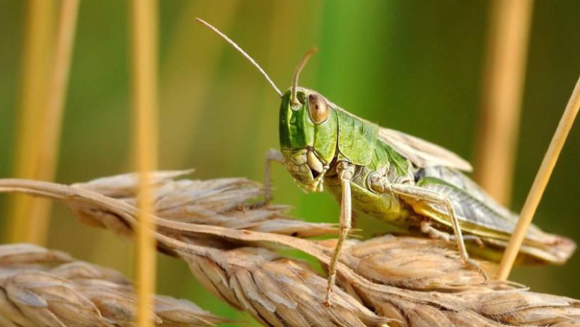  © Пресс-служба акимата Актюбинской области 