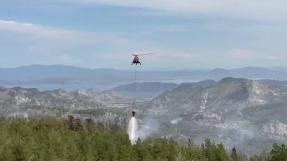  Видеодан кадр 