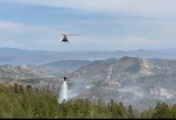 Природный пожар​ в Восточном Казахстане локализован