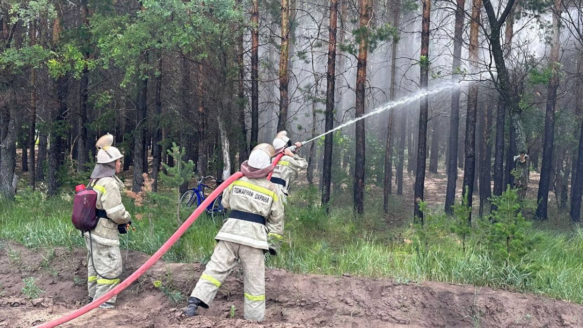  ТЖМ баспасөз қызметі 