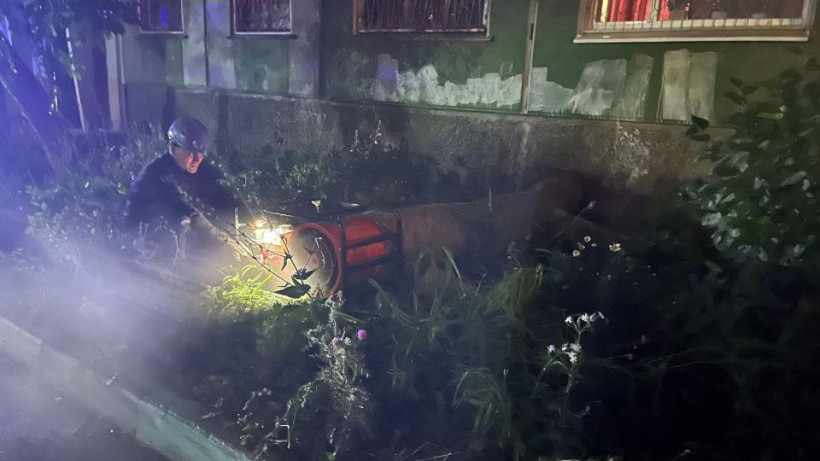  ШҚО ТЖД баспасөз қызметі 