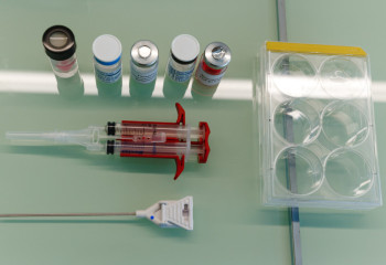 Два человека умерли после укусов клещей