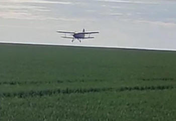 Қостанай облысында шегірткеге қарсы химиялық өңдеу жүргізілді