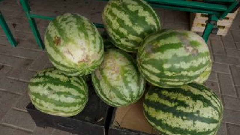  El.kz / Артем Чурсинов 