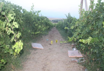 Подросток погиб во время охоты на птиц в Туркестанской области