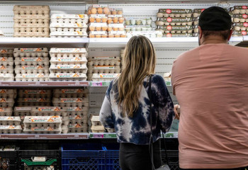 Швецияда жұмыртқа тапшылығы пайда болды