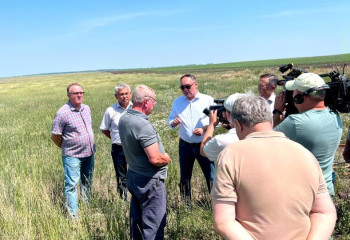 Шегіртке Қостанай облысындағы 16 мың гектар жайылымдық жерге тараған