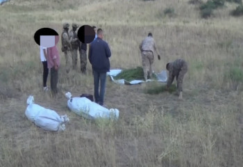 Шу тұрғынынан 280 келіге жуық есірткі тәркіленді