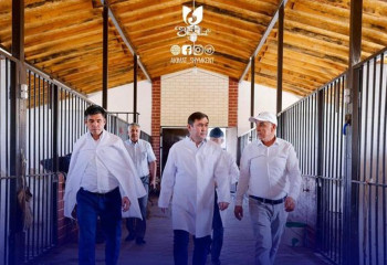 Шымкентте тағы бір мал бордақылау алаңшасы іске қосылды