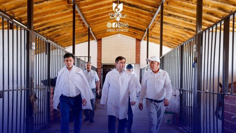  Шымкент әкімдігі 