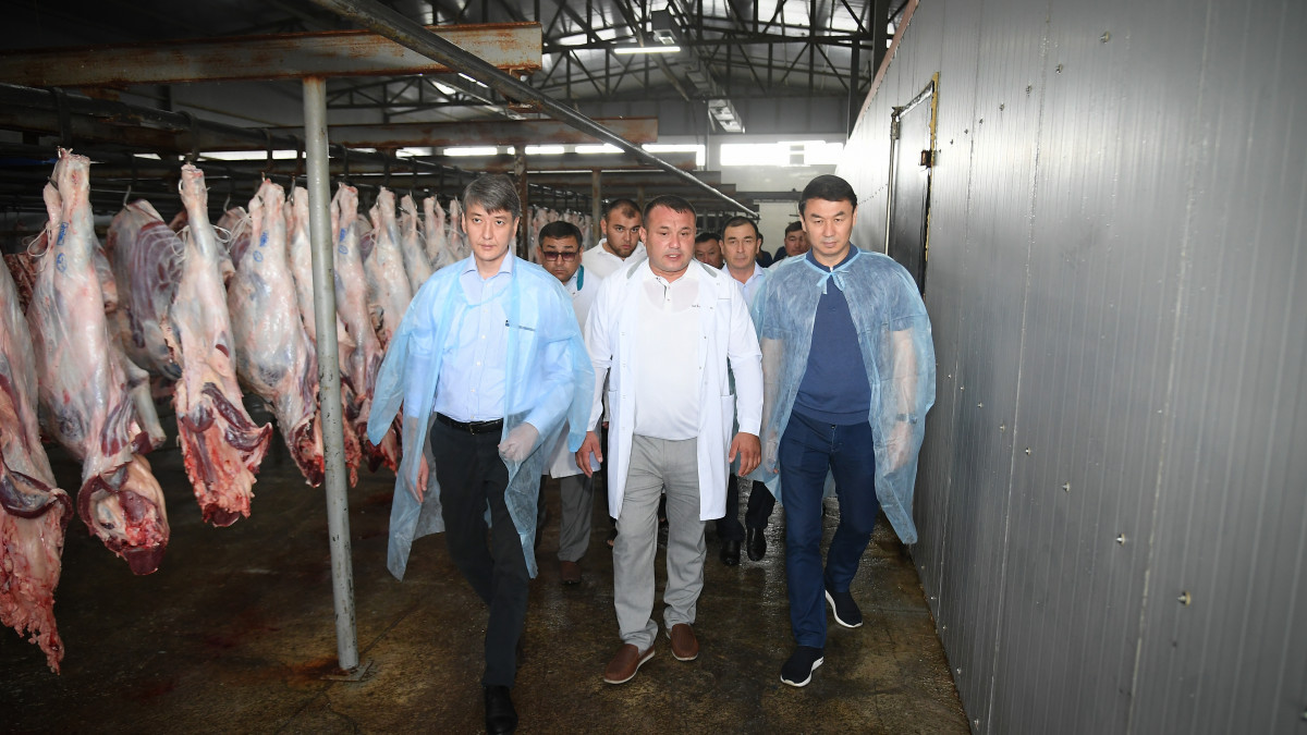 Заводы по глубокой переработке отходов животноводства построят в Туркестанской области