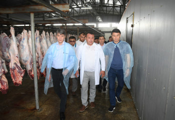 Заводы по глубокой переработке отходов животноводства построят в Туркестанской области