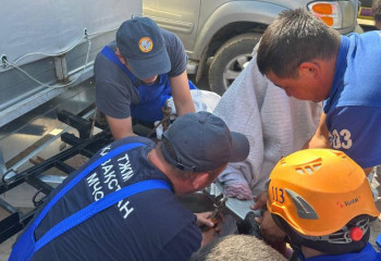 Спасатели МЧС спасли руку 10-летней девочки