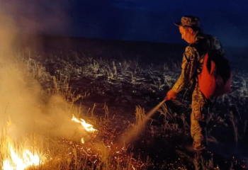 БҚО-да 35 учаскеде жану жойылды