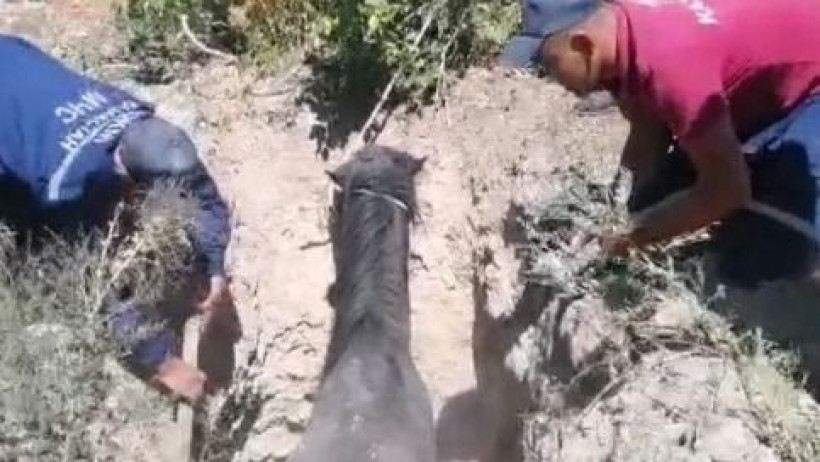  Кадр из видео 