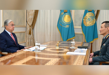 Мемлекет басшысы төтенше жағдайлар министрін қабылдады