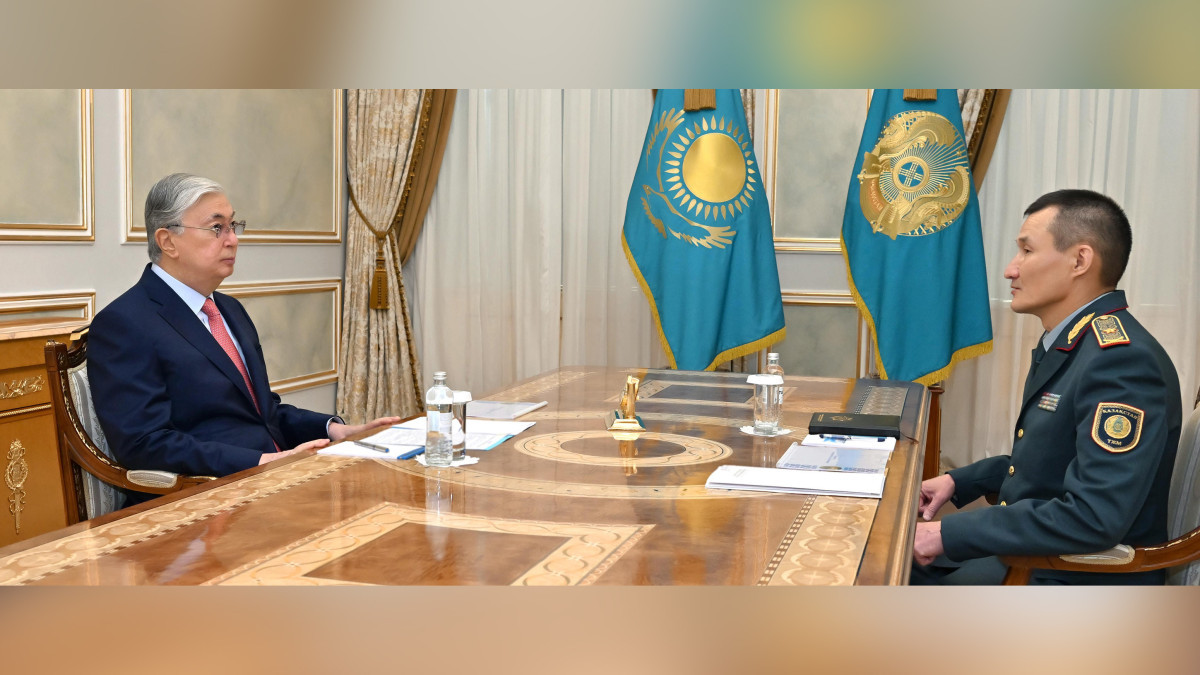 Глава государства принял министра по чрезвычайным ситуациям Сырыма Шарипханова