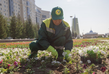 Гүлге күтім жасау да – ерекше еңбек