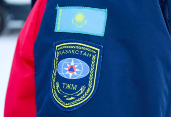 Пожары в лесах Павлодарской области локализованы