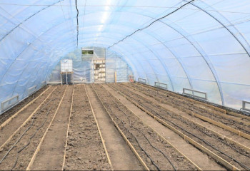 Количество теплиц увеличивается в Актюбинской области