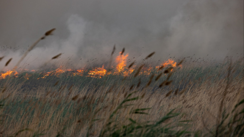 ©El.kz/Артем ЧУРСИНОВ 