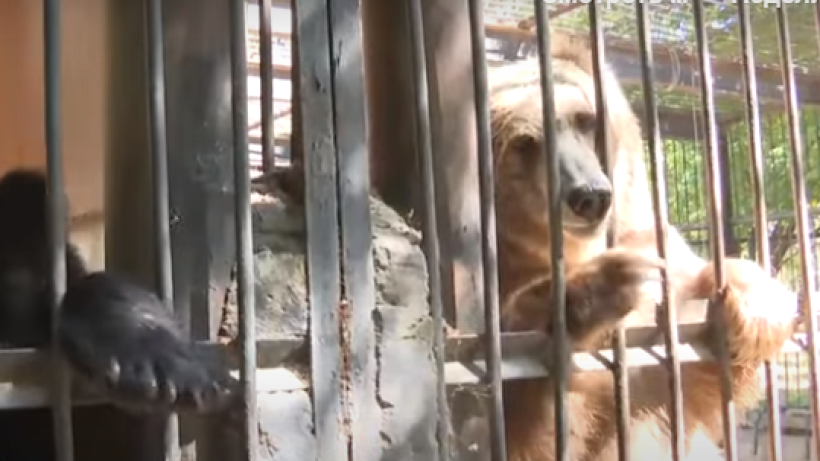  Видеодан кадр 