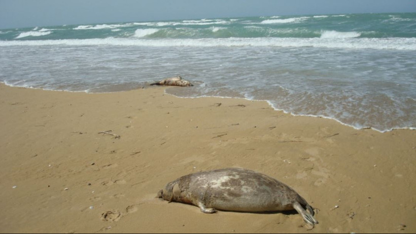  МО экология департаментінің баспасөз қызметі 