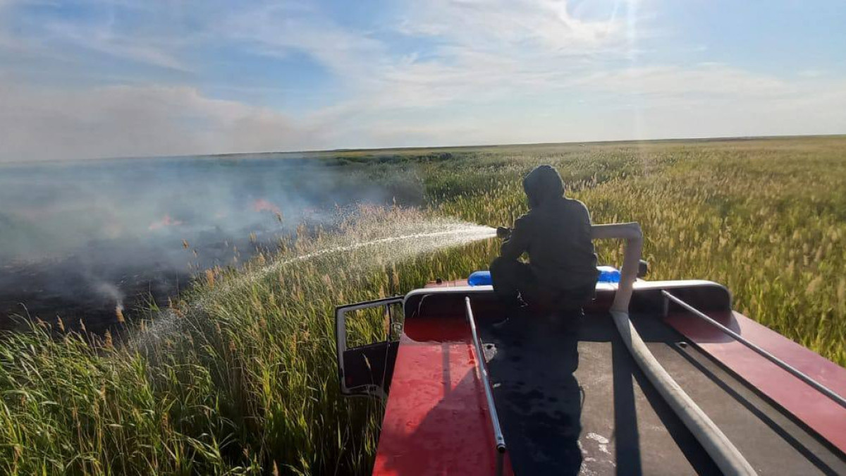 70 лесных пожаров зарегистрировано в Жетысуской области