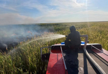 70 лесных пожаров зарегистрировано в Жетысуской области