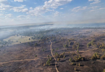 Природный пожар в области Абай оперативно локализован