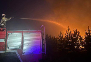 Площадь пожара в Павлодарской области увеличилась до 850 га