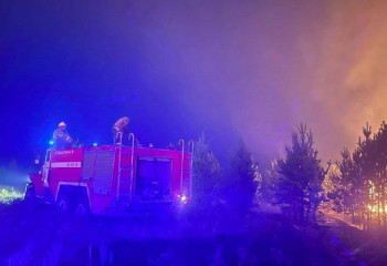 Абай облысындағы орман өртінің аумағы кеңейіп барады