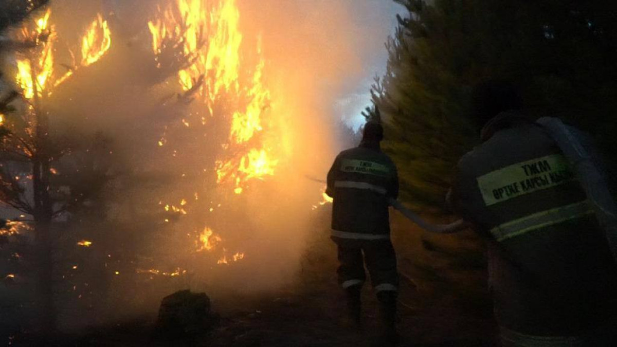 Пожар в Павлодарской области локализован