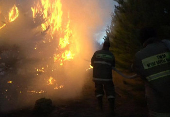 Пожар в Павлодарской области локализован
