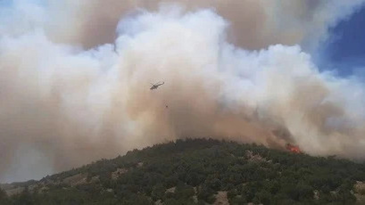 Аномальная жара стала причиной лесных пожаров в Турции