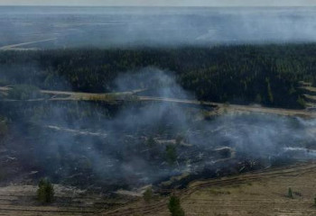 Ертіс ормандағы өрт аумағы оқшауланды