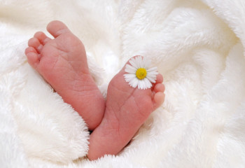 Түркістан облысында тәулігіне 150 сәби дүниеге келеді