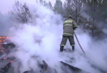Орман өртіне байланысты Павлодар облысындағы 3 ауылда төтенше жағдай жарияланады